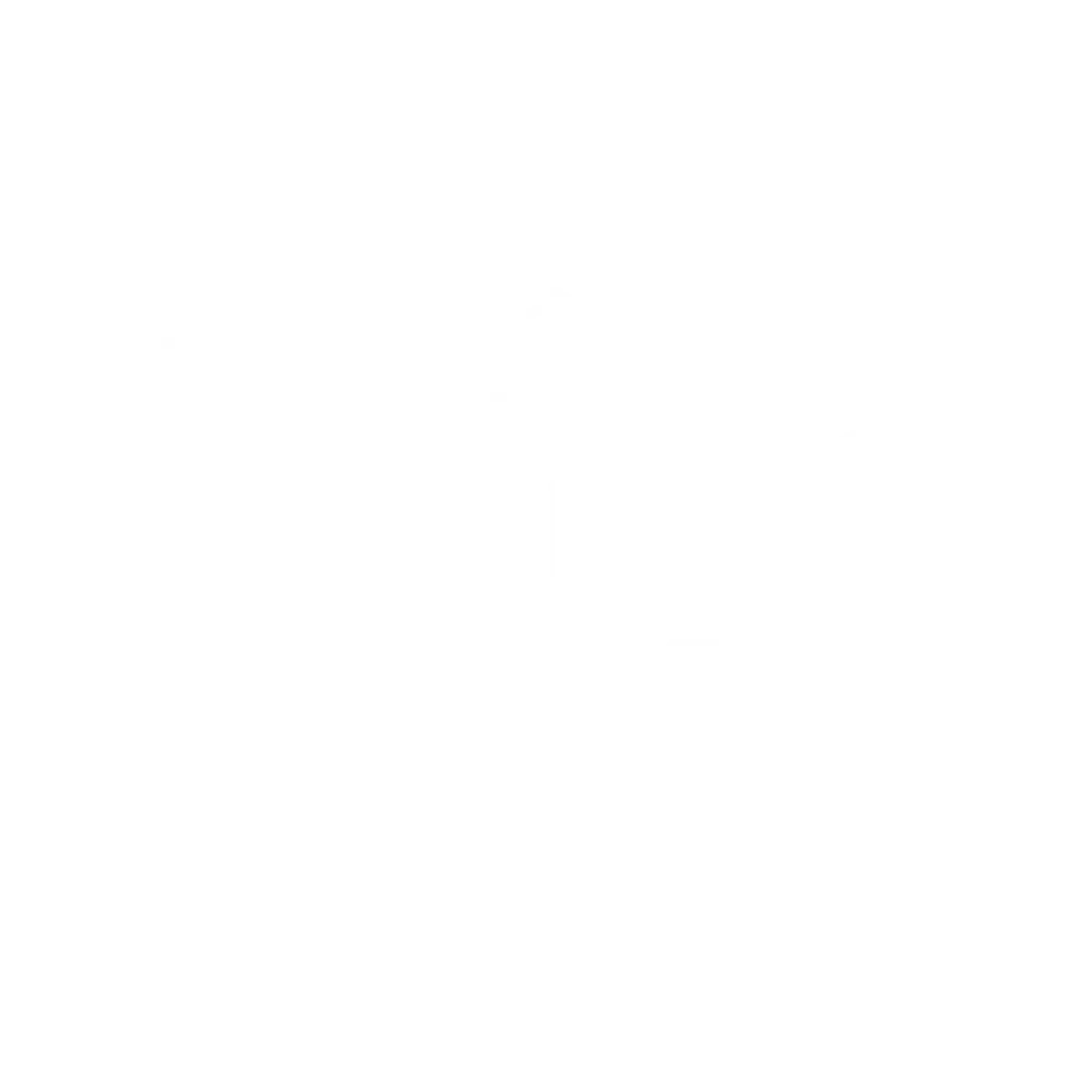 PoolPikPro-Logo1tm-t.fw_